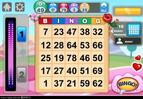 bingo游戏下载（bingo手机游戏）